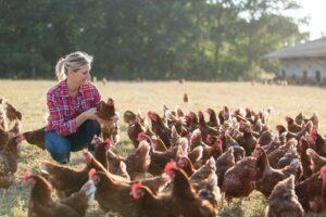 Poultry Farm Insurance in Alpharetta, GA