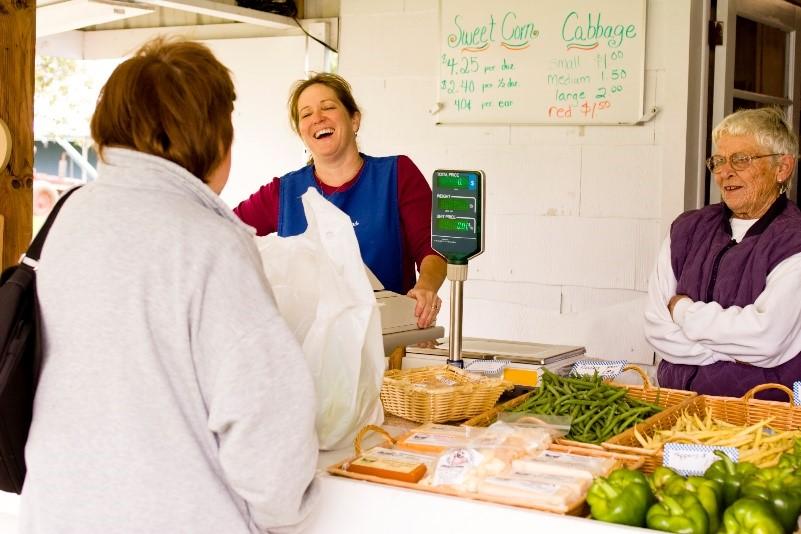 ladies smiling at a checkout counter with Business Insurance in Canton, Alpharetta, Dawsonville, Ballground, Blue Ridge, GA, Blairsville